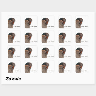 Jag såg det. Parrot-dekal Fyrkantigt Klistermärke