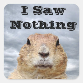Jag såg ingenting på Groundhog-dagen Fyrkantigt Klistermärke