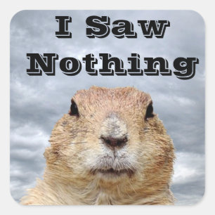 Jag såg ingenting på Groundhog-dagen Fyrkantigt Klistermärke