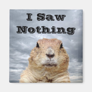 Jag såg ingenting på Groundhog-dagen Magnet