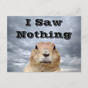 Jag såg ingenting på Groundhog-dagen Vykort