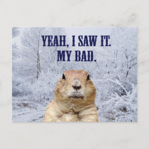 Jag sågar det den Groundhog dagen Vykort