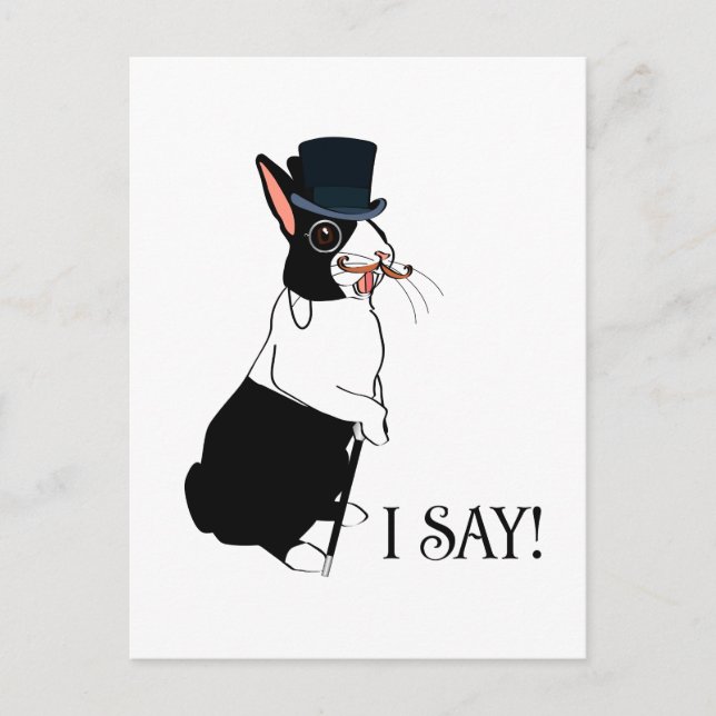 JAG SÄGER VYKORT (Framsida)