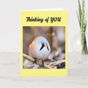 *JAG SAKNAR ATT DU* SKULLE KUNNA SÄGA I PERSONKORT KORT