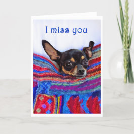 Jag saknar dig, Chihuahua hund, humor. Kort