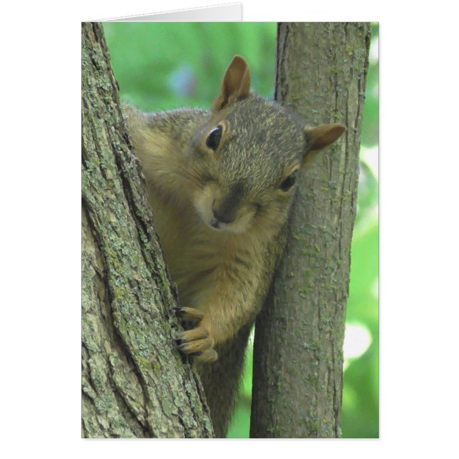 Jag saknar dig, ekorrefoto hälsningskort (Framsidan)