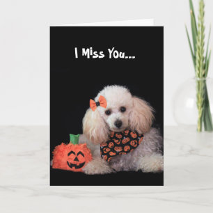 Jag saknar dig Halloween pudel hund-kort Kort