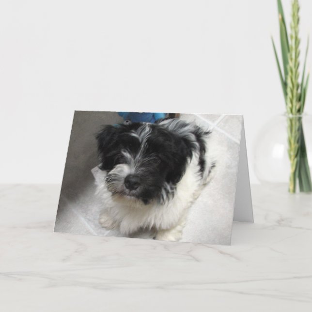 Jag saknar dig - Havanese Puppy Kort (Framsida)