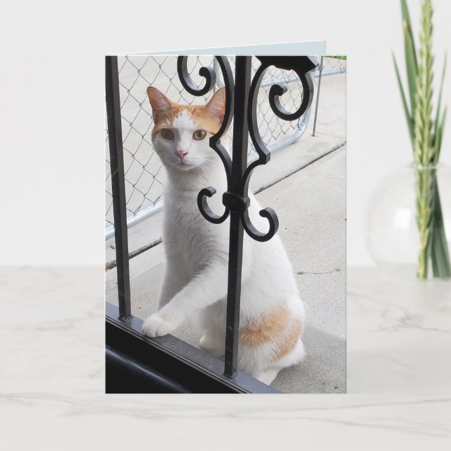 Jag saknar dig katt kort (Framsida)