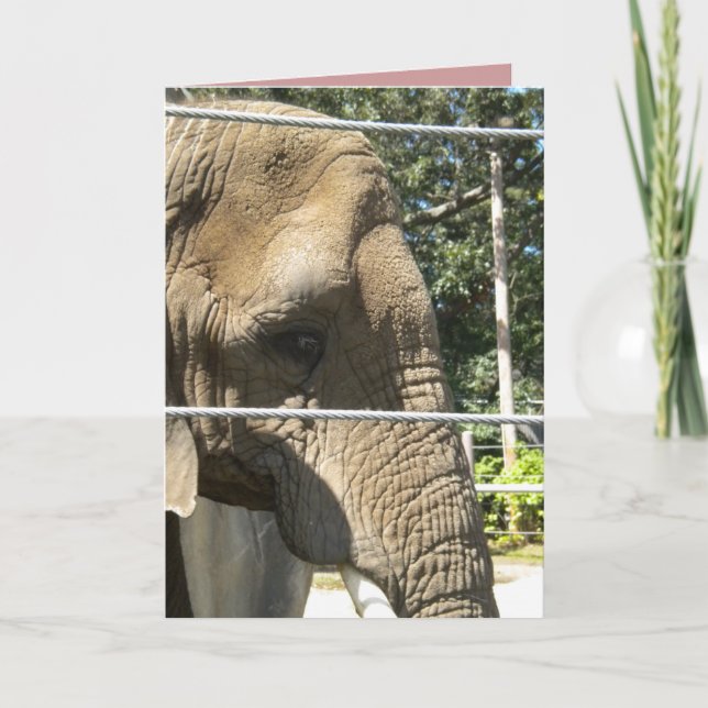 Jag saknar dig, låt oss lunch, ledsen elefant kort (Framsida)