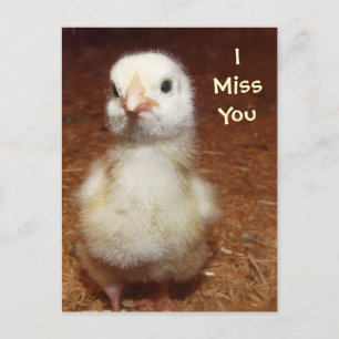 Jag saknar dig! Ledsen Baby Chick Vykort