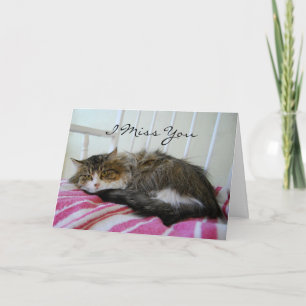 Jag saknar dig, Maine Coon Cat Card Kort
