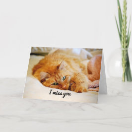 Jag saknar dig, Orange Maine Coon Cat Kort