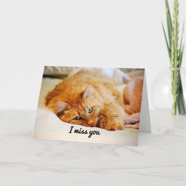 Jag saknar dig, Orange Maine Coon Cat Kort (Framsida)
