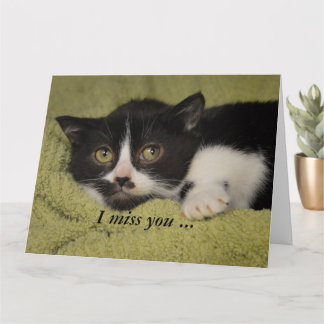 Jag saknar dig, Shy Tuxedo Kitten Card Kort