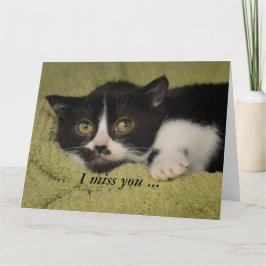Jag saknar dig, Shy Tuxedo Kitten Card Kort