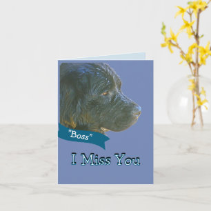 "Jag saknar dig" vacker, Ledsen-tittar Newfie-Hund Kort