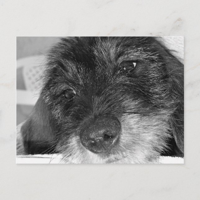 Jag saknar dig vykort (Framsida)