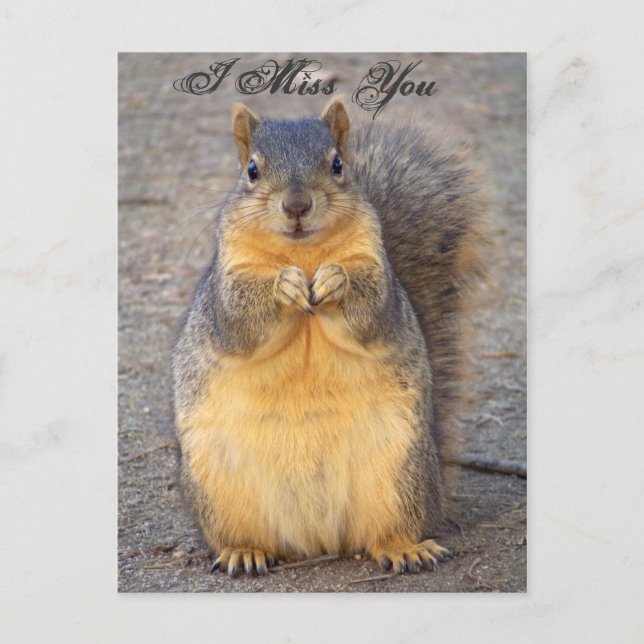 Jag saknar dig_ Vykort_av Elenne Boothe Vykort (Framsida)