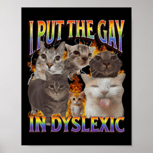 Jag Sätter Den Homosexuella I Dyslektisk Rolig Kat Poster