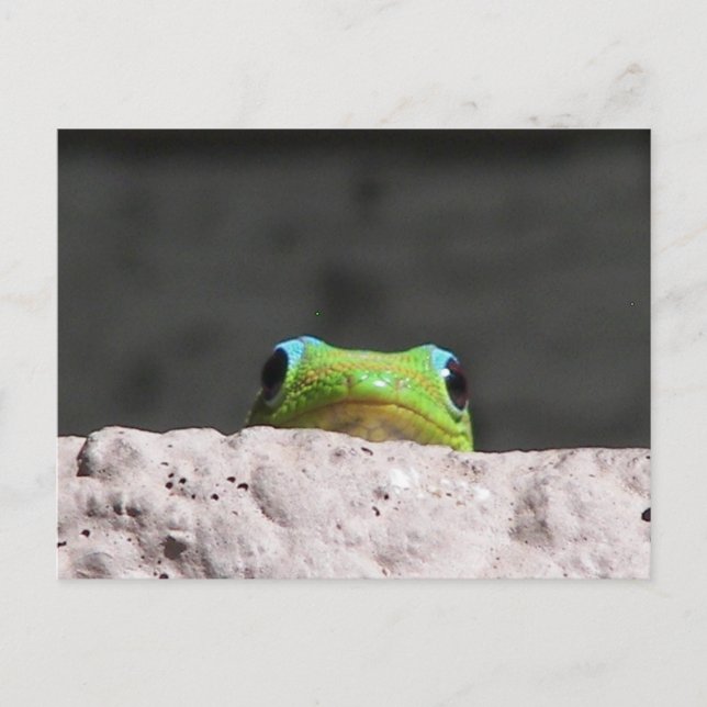 Jag ser dig gecko vykort (Framsida)