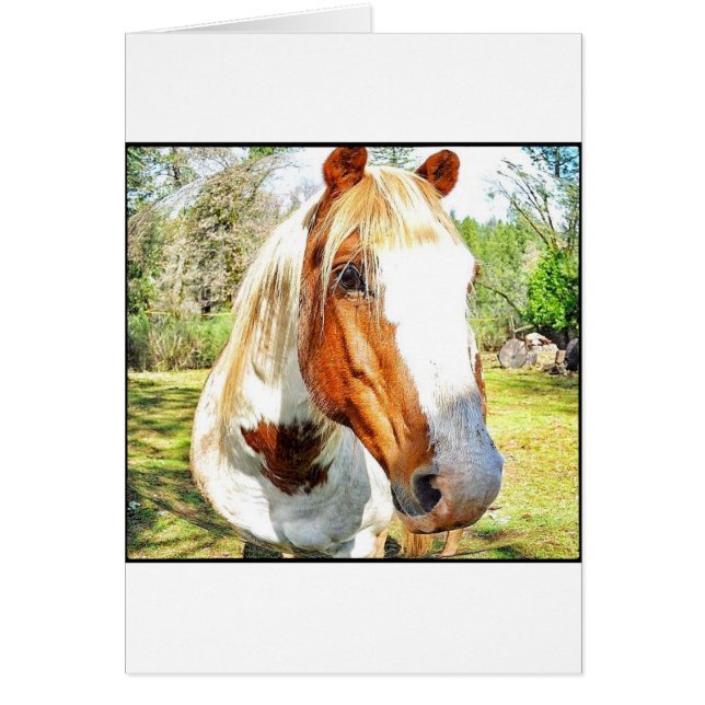 Jag ser dig! hälsningskort (Framsidan)