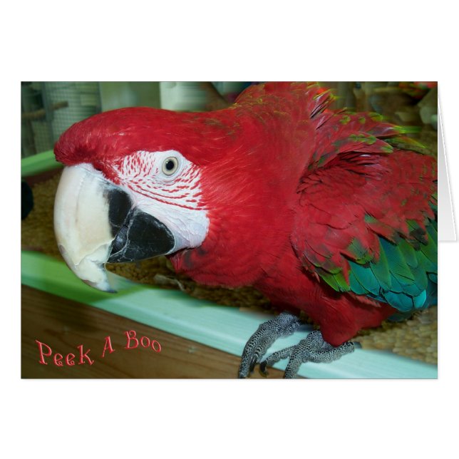 Jag ser dig hälsningskort (Framsidan Horizontal)