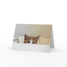 "Jag ser dig" - Louie peeks ut