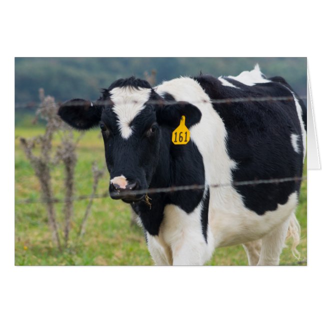 Jag ser dig OBS kort (Framsidan Horizontal)