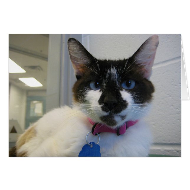 Jag ser dig också hälsningskort (Framsidan Horizontal)