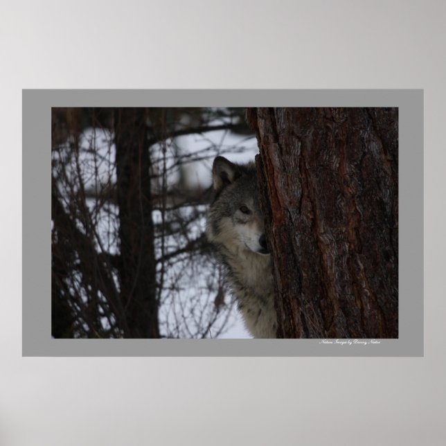 Jag ser dig poster (Framsidan)