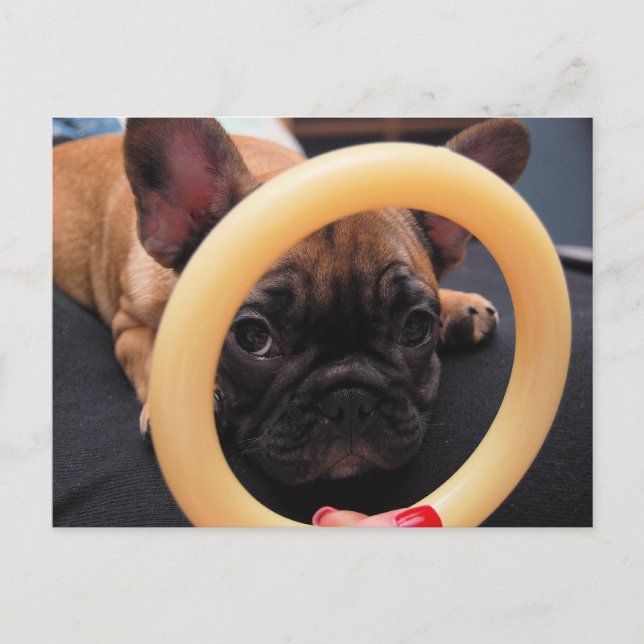 "Jag ser dig" vykort (Framsida)