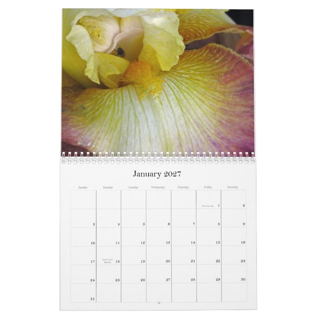 Jag ser en Iris Kalender (Jan 2027)
