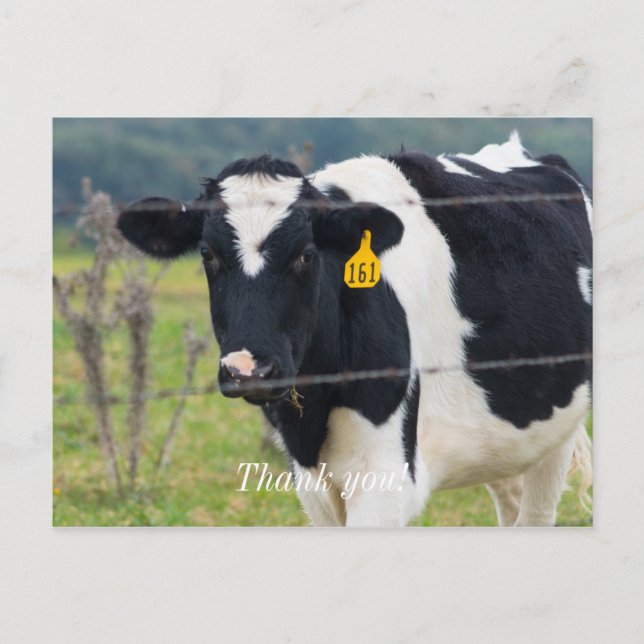 Jag ser er tack vykort (Framsida)