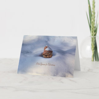 Jag ska är gnomen för jul helgkort