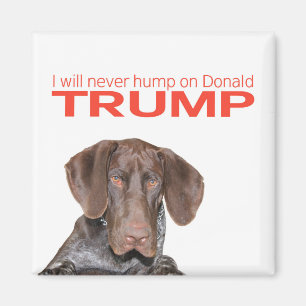 Jag ska ha sex med aldrig på Donald Trump! Magnet