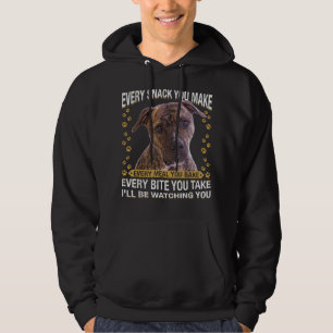 Jag ska inte döma min Pitbull och inte döma dig. Hoodie