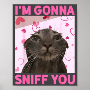 Jag ska lukta på dig Roligt Brainrot Katter Meme F Poster