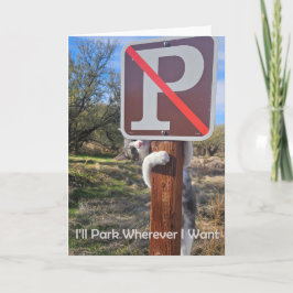 Jag ska parkera var jag vill ha Notecard Meddelande