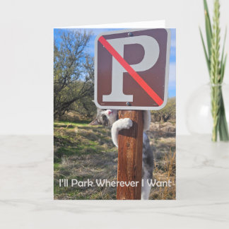 Jag ska parkera var jag vill ha Notecard Meddelande