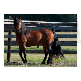Jag ska sexa hälsningskort