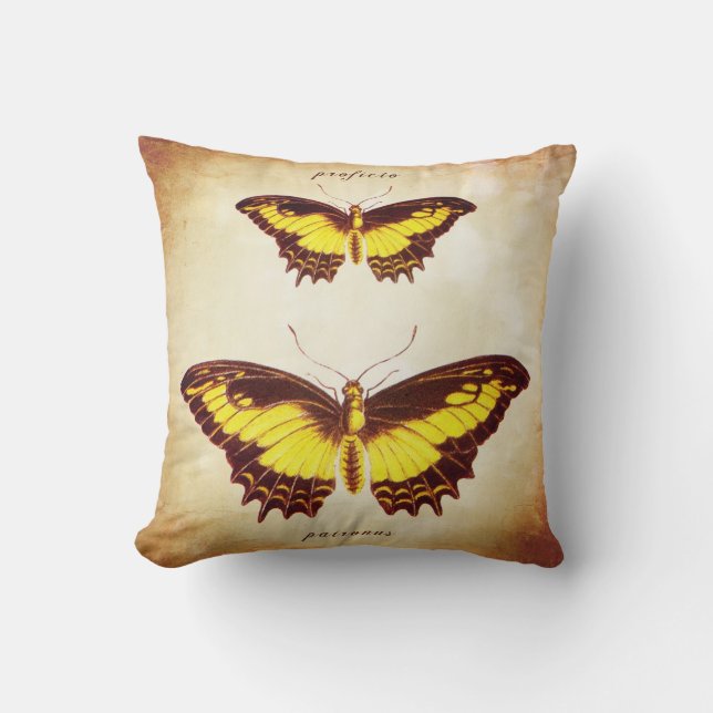 Jag ska Show dig långt Kudde (Framsida)