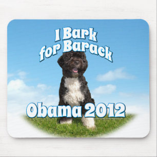 Jag skäller för Barack, Bo den första hunden Ob Musmatta