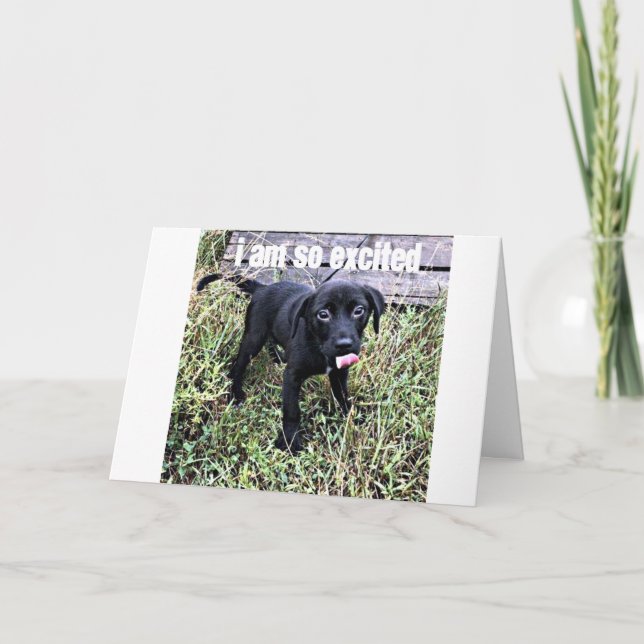 JAG SKICKAR EN SMILE OCH SÄGA ***GRATTISAR*** KORT (Framsida)