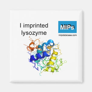 Jag skriver in lysozyme magnet