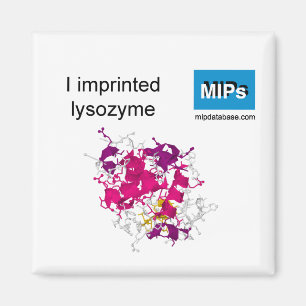Jag skriver in lysozyme magnet
