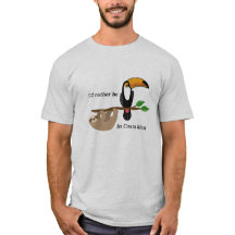 Jag skulle är ganska i Costa Rica, toucan och