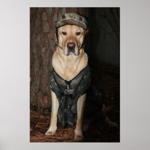 Jag skulle hellre jaga poster