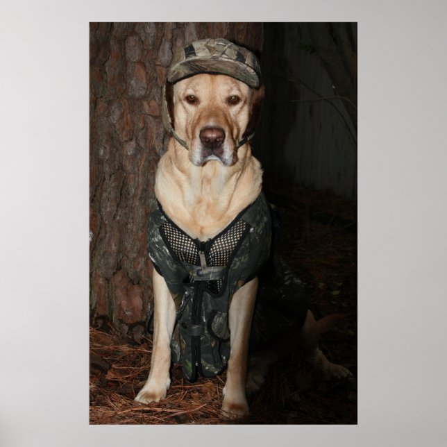 Jag skulle hellre jaga poster (Framsidan)