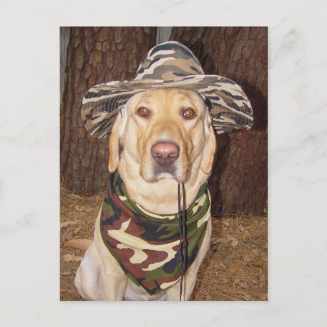 Jag skulle hellre jaga vykort (Framsida)